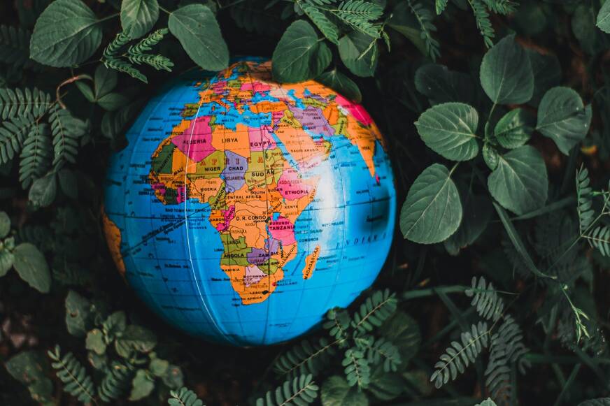 cbd afrique